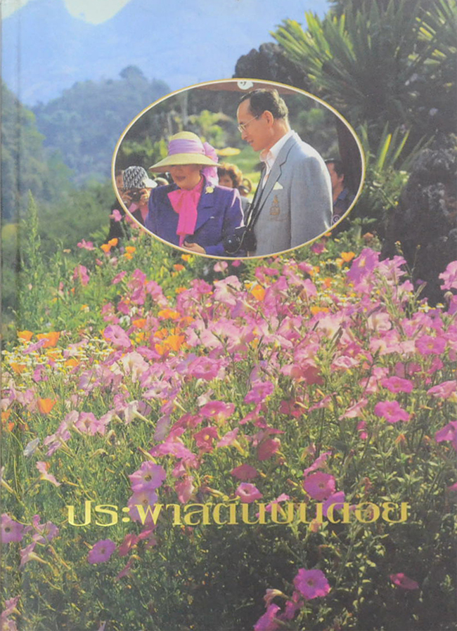 ประพาสต้นบนดอย