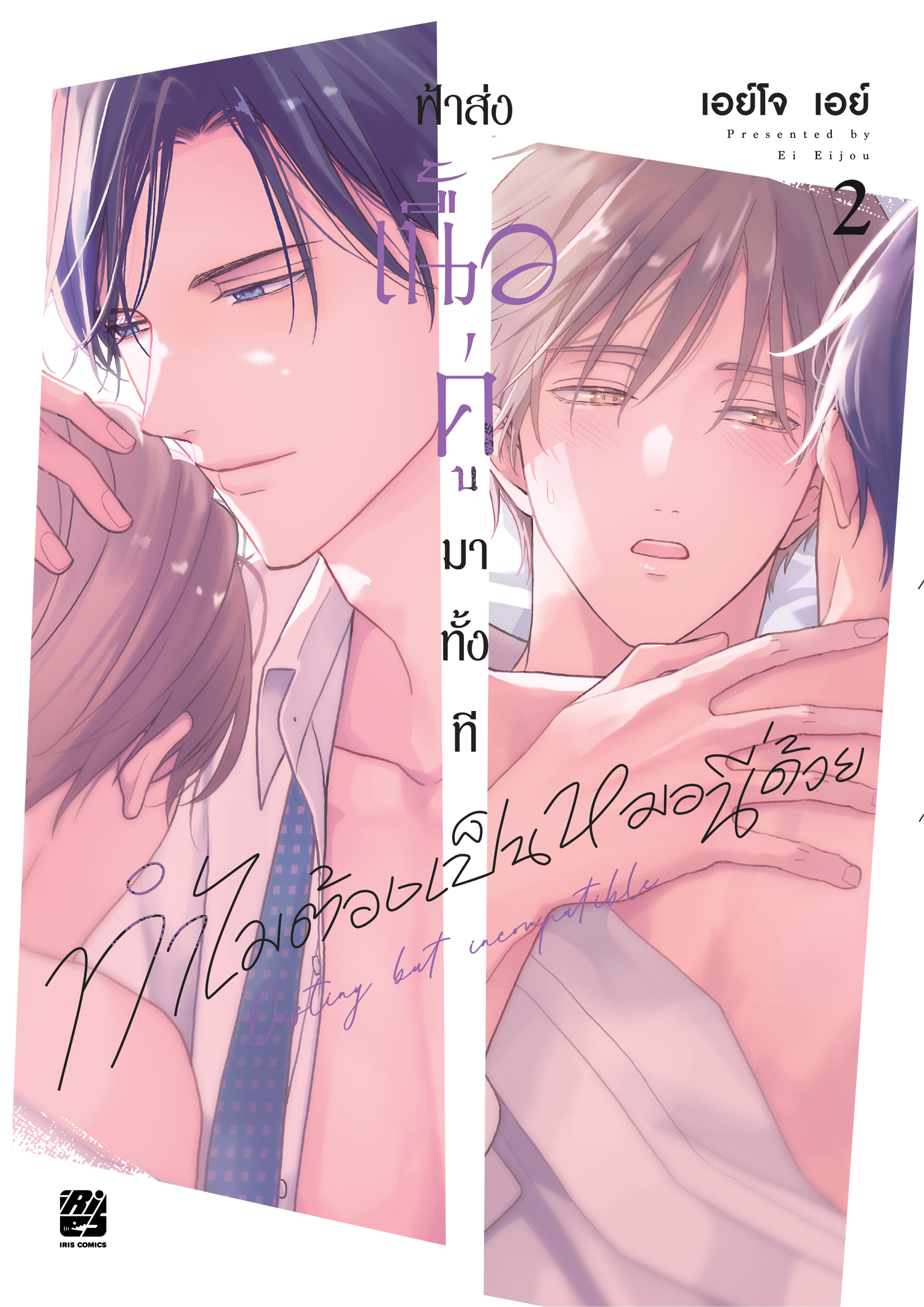 ฟ้าส่งเนื้อคู่มาทั้งที ทำไมต้องเป็นหมอนี่ด้วย เล่ม 2
