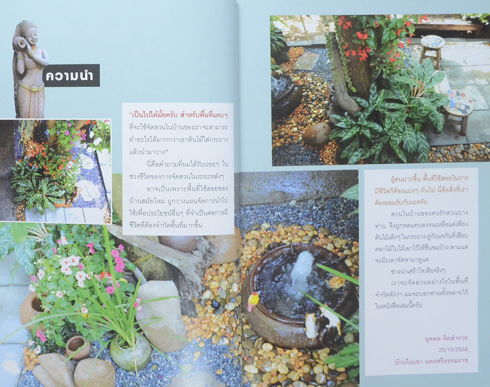 สวนน้ำในบ้าน (ขายตามสภาพ)