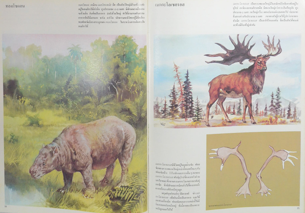 ชีวิต ยุคก่อนประวัติศาสตร์