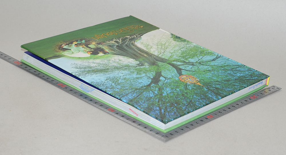 ต้นไม้ทรงปลูก (ไม่มี CD / พร้อมกล่อง / ขายตามสภาพ)