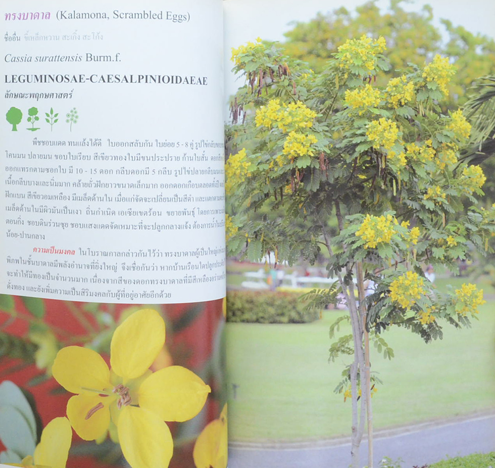 ร้อยพรรณพฤกษา ไม้มงคล