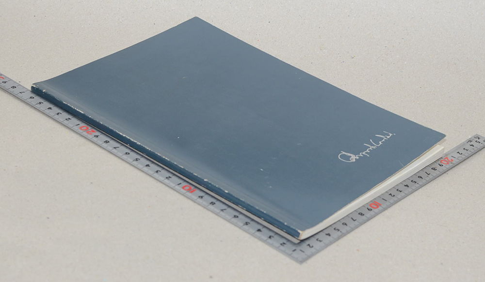 พลตรี หม่อมราชวงศ์ คึกฤทธิ์ ปราโมช (แนวนโยบายและวิธีดำเนินงาน ของ พรรคกิจสังคม)