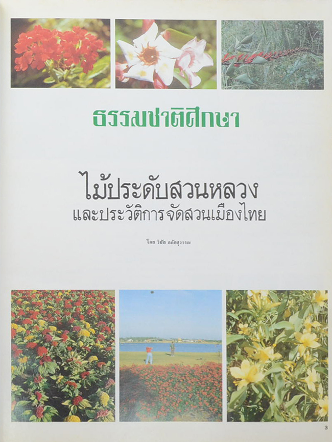 ไม้ประดับสวนหลวงและประวัติการจัดสวนเมืองไทย