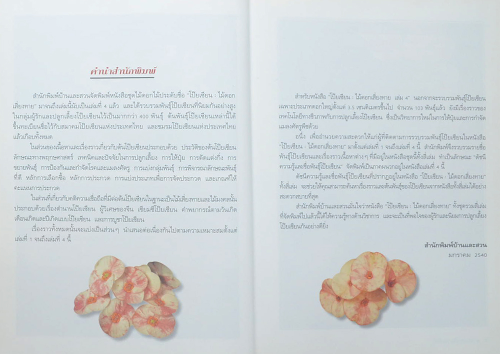 โป๊ยเซียนไม้ดอกเสี่ยงทาย (เล่ม 4/ ขายตามสภาพ)