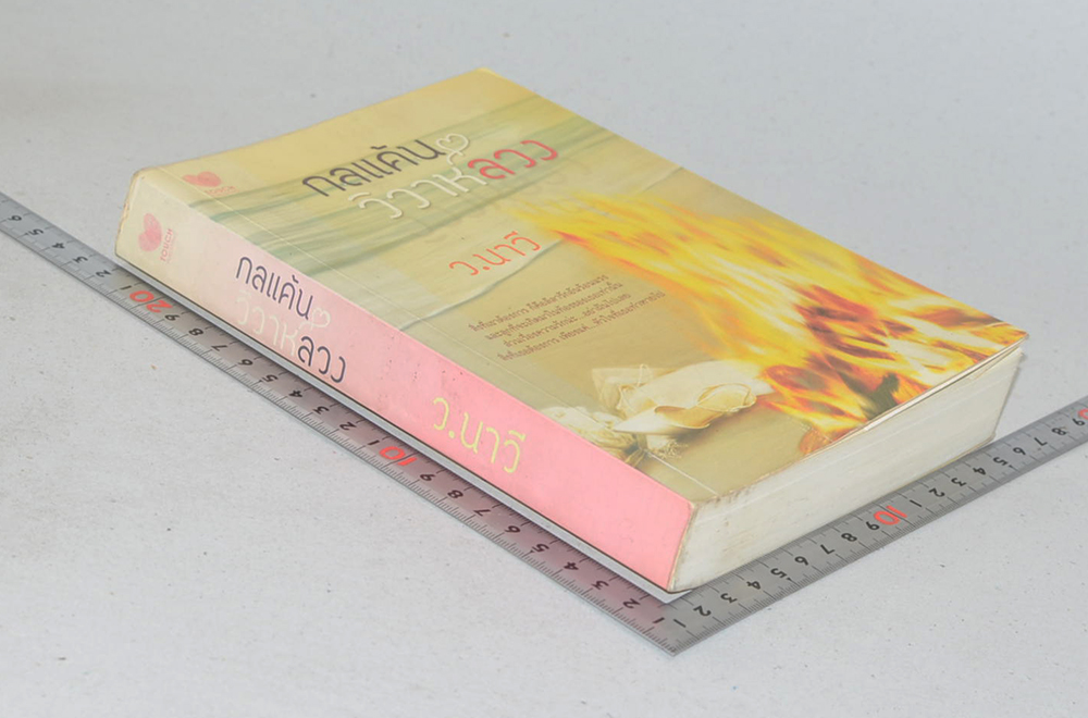 กลแค้นวิวาห์ลวง (เล่มเดียวจบ)