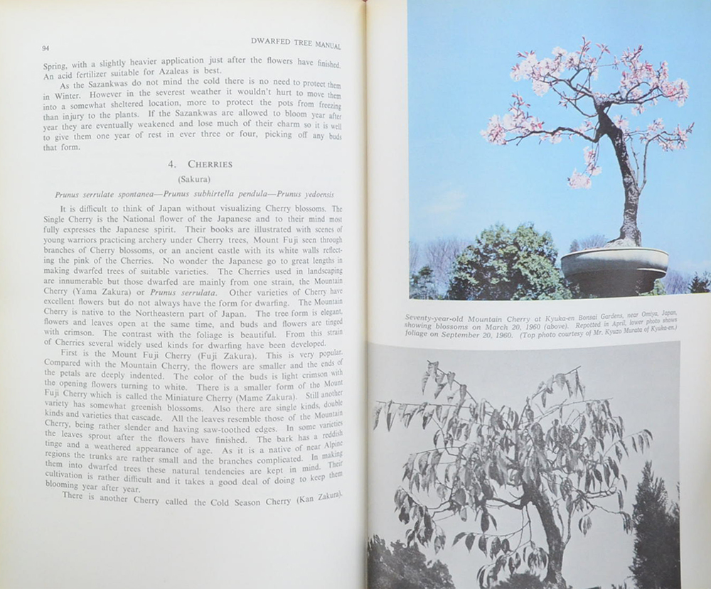 A DWARFED TREE MANUAL for WESTERNERS