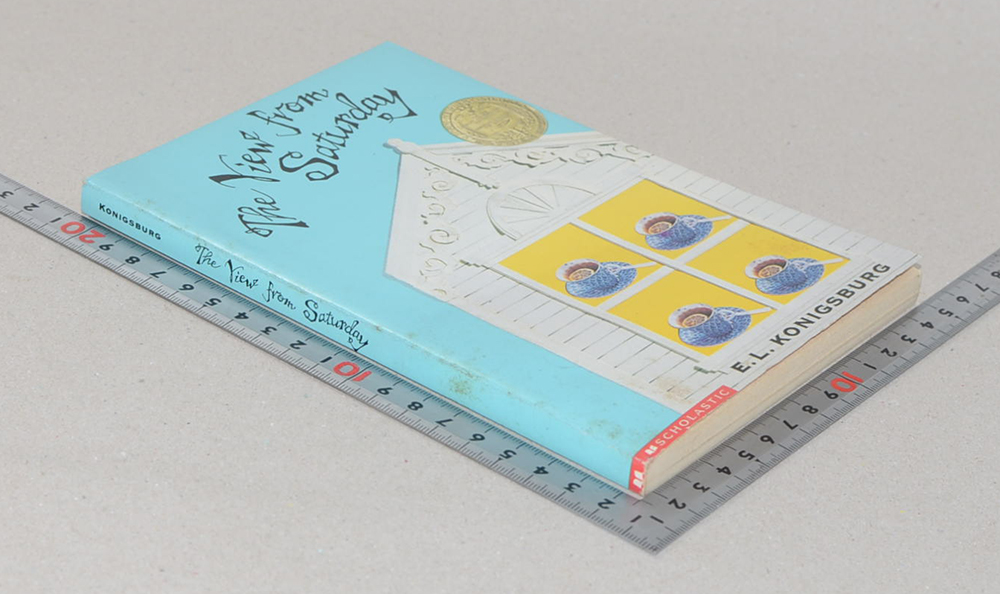 The View from Saturday