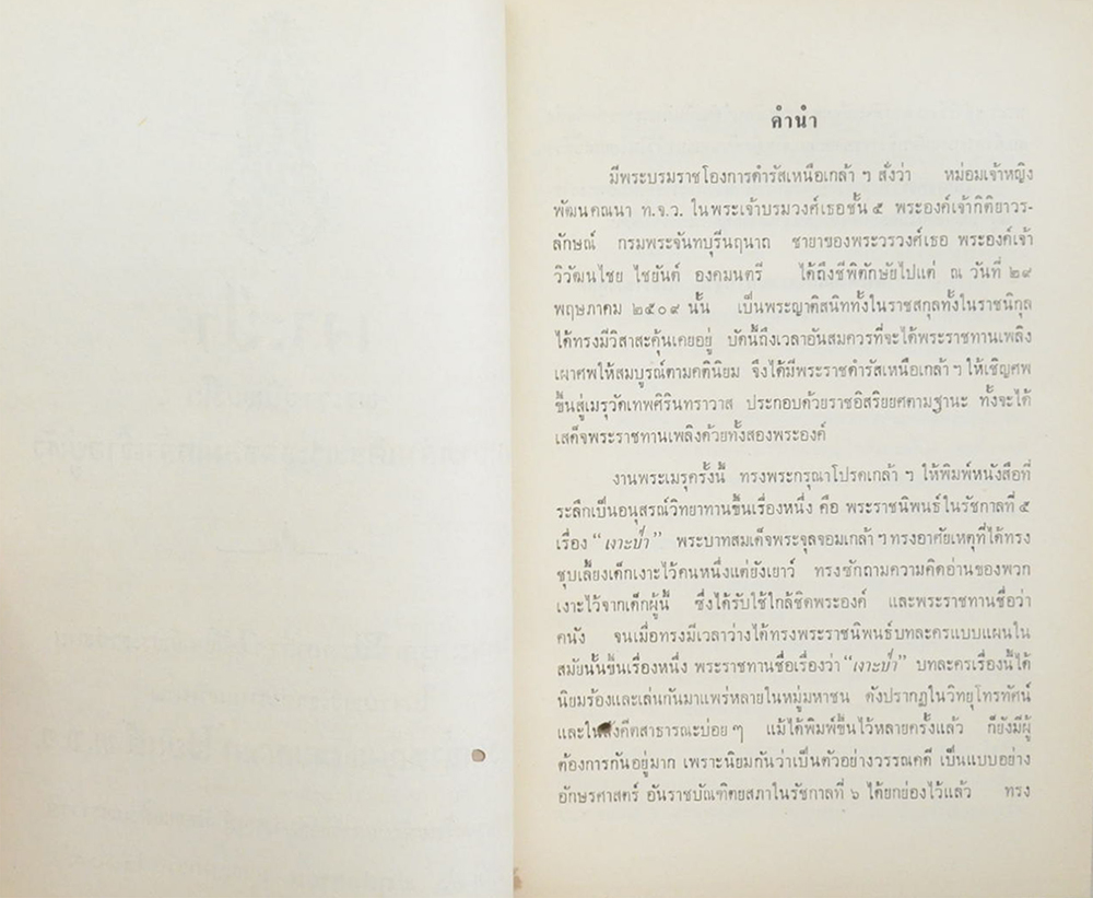 เงาะป่า