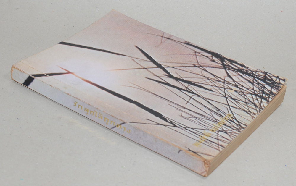 รักลูกให้ถูกทาง