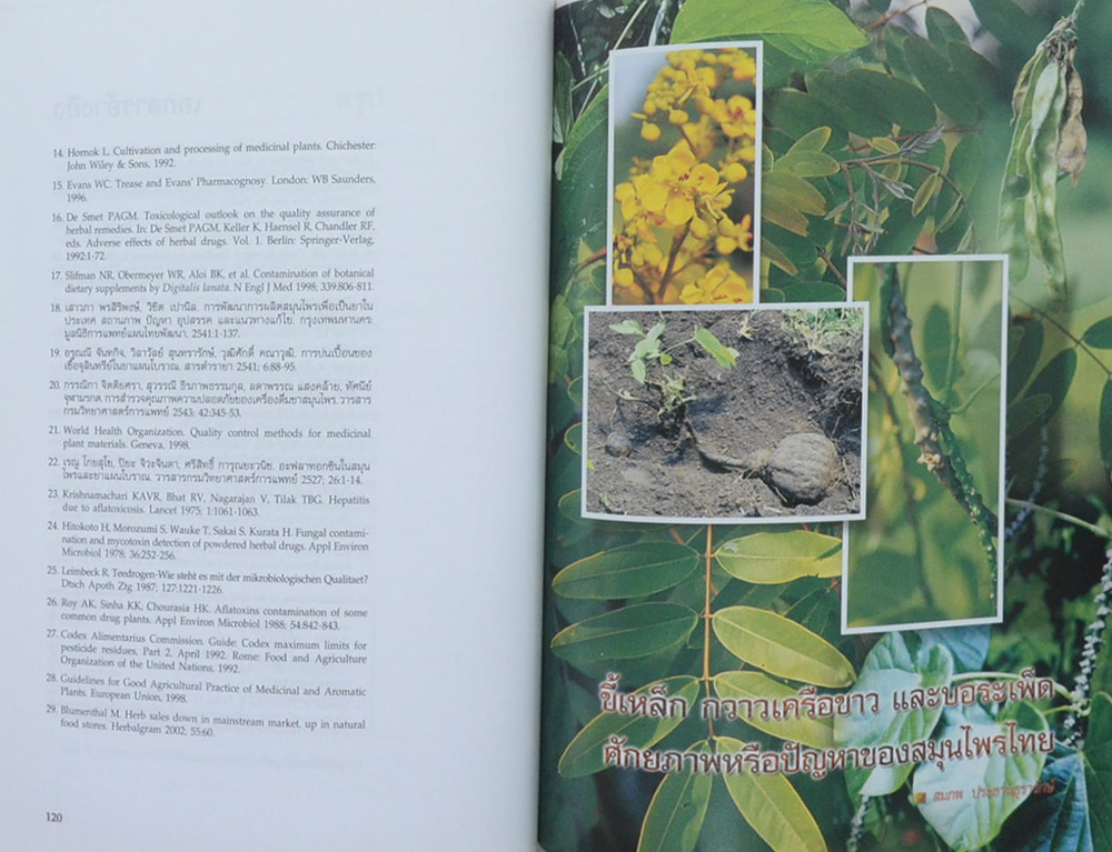 สมุนไพร การพัฒนาเพื่อการใช้ประโยชน์ที่ยั่งยืน
