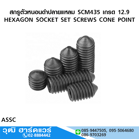 สกรูตัวหนอนดำปลายแหลม SCM435 เกรด 12.9