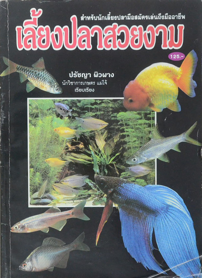 เลี้ยงปลาสวยงาม