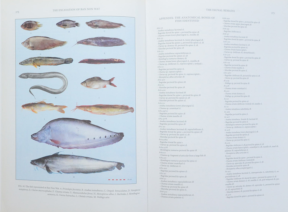 THE ORIGINS OF CIVILIZATION OF ANGKOR VOLUME FOUR THE EXCAVATION OF BAN NON WAT : THE NEOLITHIC (ขายตามสภาพ)