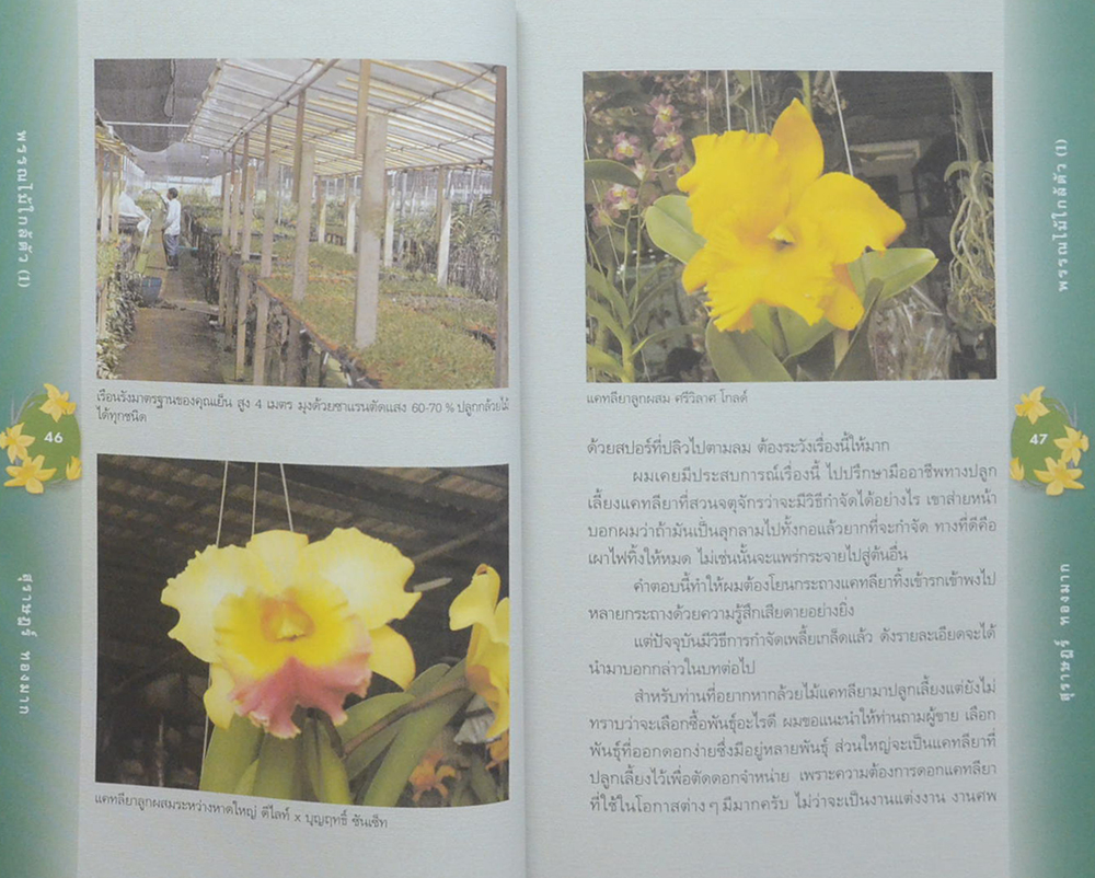 พรรณไม้ใกล้ตัว (ขายตามสภาพ)