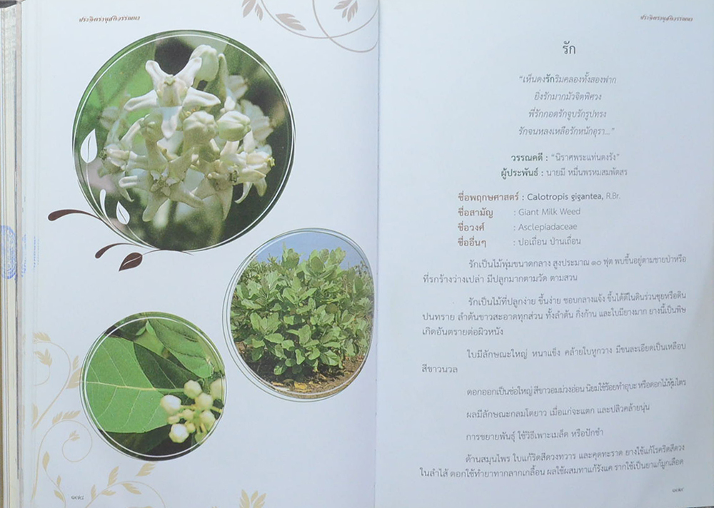 ประจิตรานุสติวรรณนา (พฤกษาในวรรณคดี เล่ม 1) (ขายตามสภาพ)