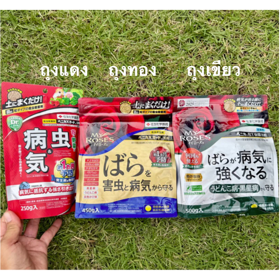 Benica X Guard บาซิลลัสทูริงเจนซิส(BT) มีเฉพาะถุงแดง 250 กรัม ผงโรยปกป้องจากหนอน แมลงและโรครา เสมือนวัคซีนพืช