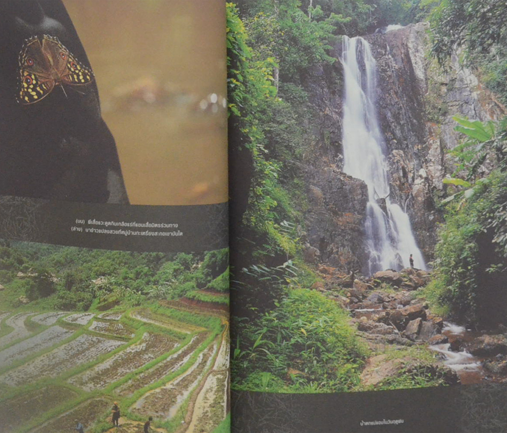 รอยเท้าบนภูเขา