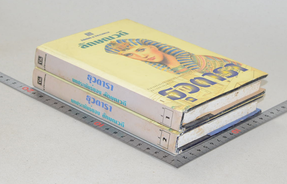 ธุวตารา (2 เล่มจบ)