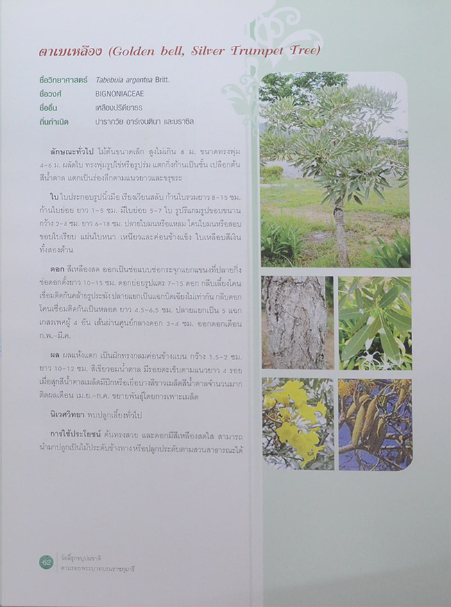 วัลลิ์รุกขบุปผชาติ ตามรอยพระบาทบรมราชกุมารี (ขายตามสภาพ)