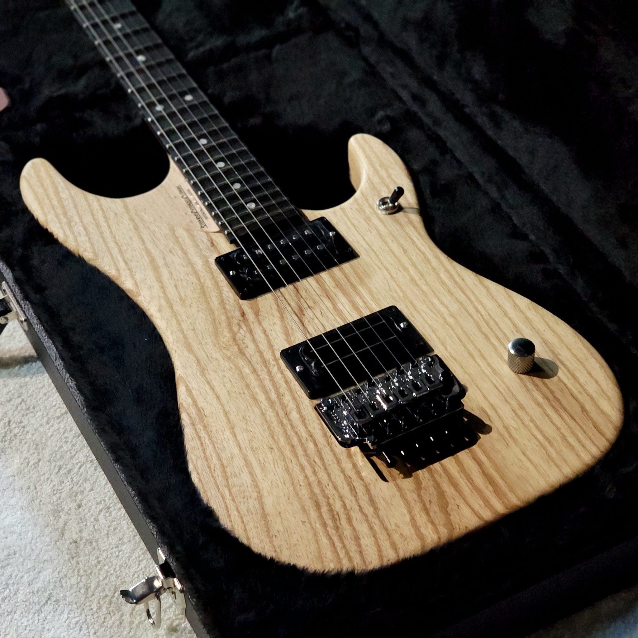 (BRAND NEW) WASHBURN N4-NUNO SWAMP ASH USA
