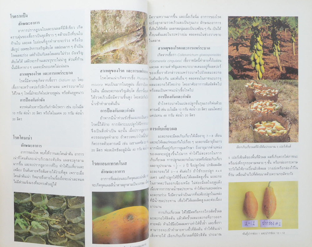 วันต้นไม้ประจำปีแห่งชาติ 2533