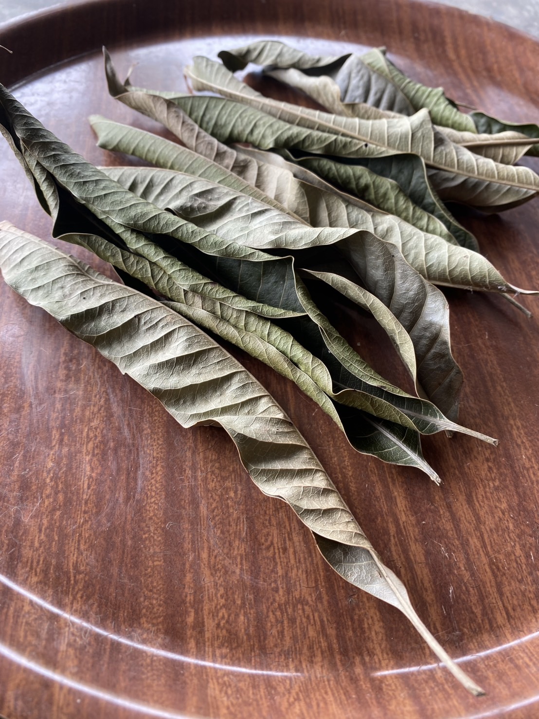 ใบมะม่วงแห้ง อาหารสำหรับ isopod จำนวน 40 ใบ