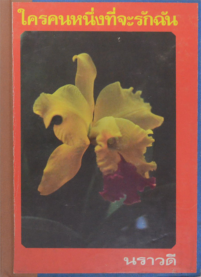 ใครคนหนึ่งที่จะรักฉัน (เล่มเดียวจบ)