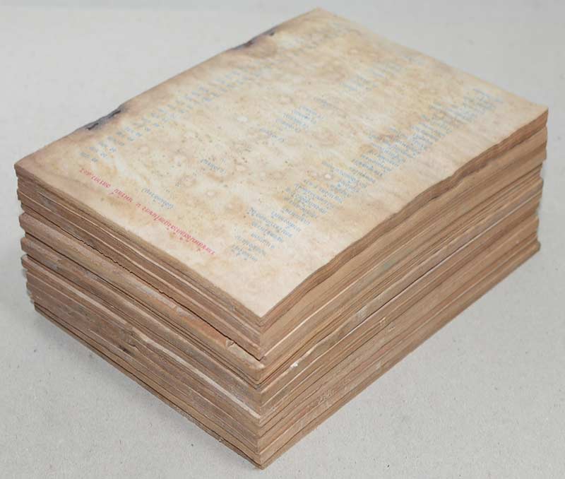 จิ้งจอกอหังการ (14 เล่ม / ไม่จบ)