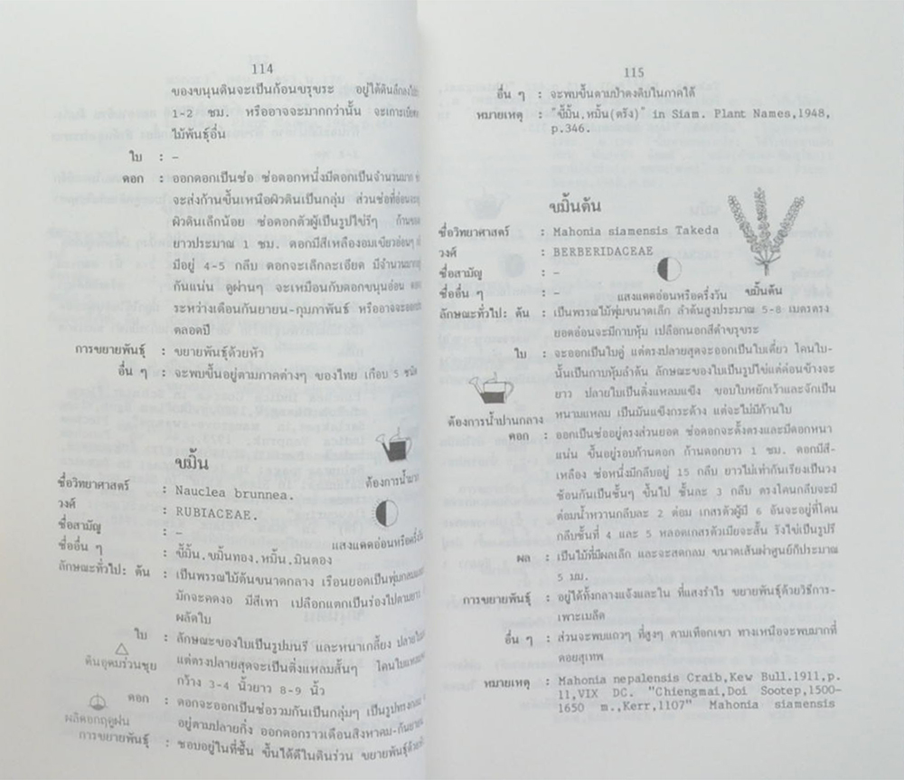 พจนานุกรมไม้ดอกไม้ประดับในเมืองไทย