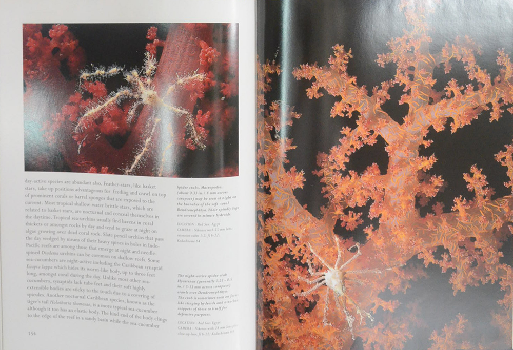 The Living Sea A Photographic Exploration of Life in the Sea