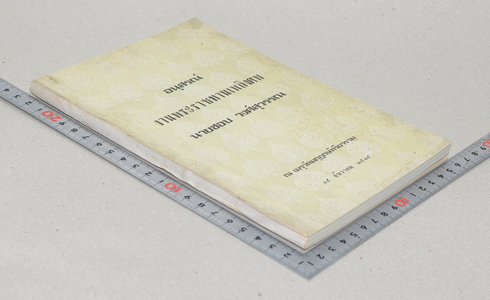 นายชอบ วงศ์สุวรรณ์ (ท่านจะงามได้อย่างไร)