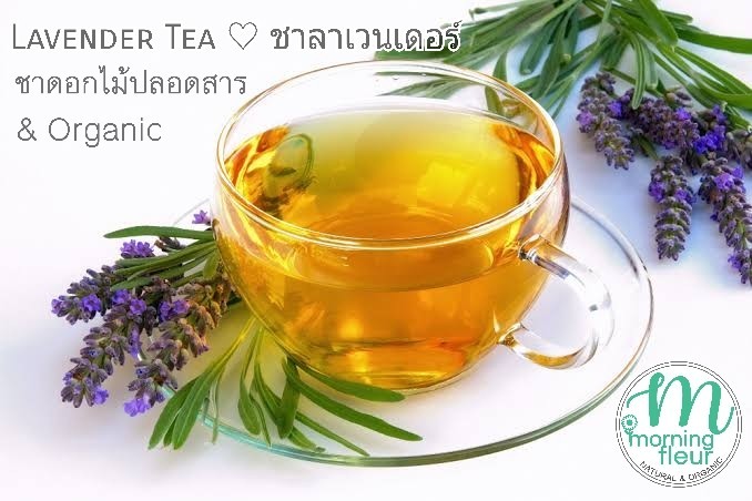 ชาลาเวนเดอร์