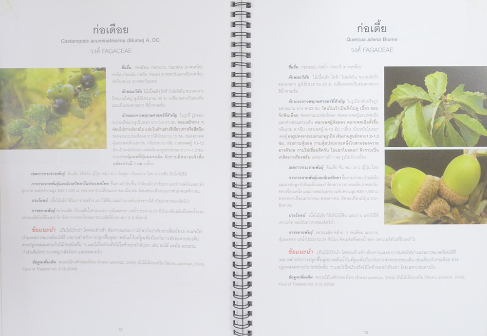 คู่มือเลือกชนิดพรรณไม้เพื่อปลูกป่าป้องกันอุทกภัย