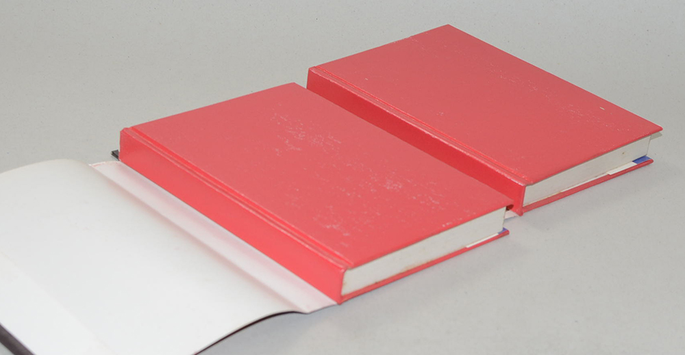 สะพานรุ้ง (2 เล่มจบ)