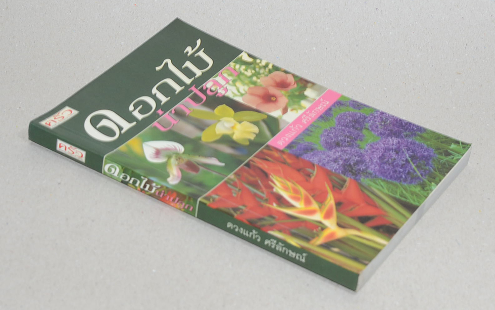 ดอกไม้น่าปลูก