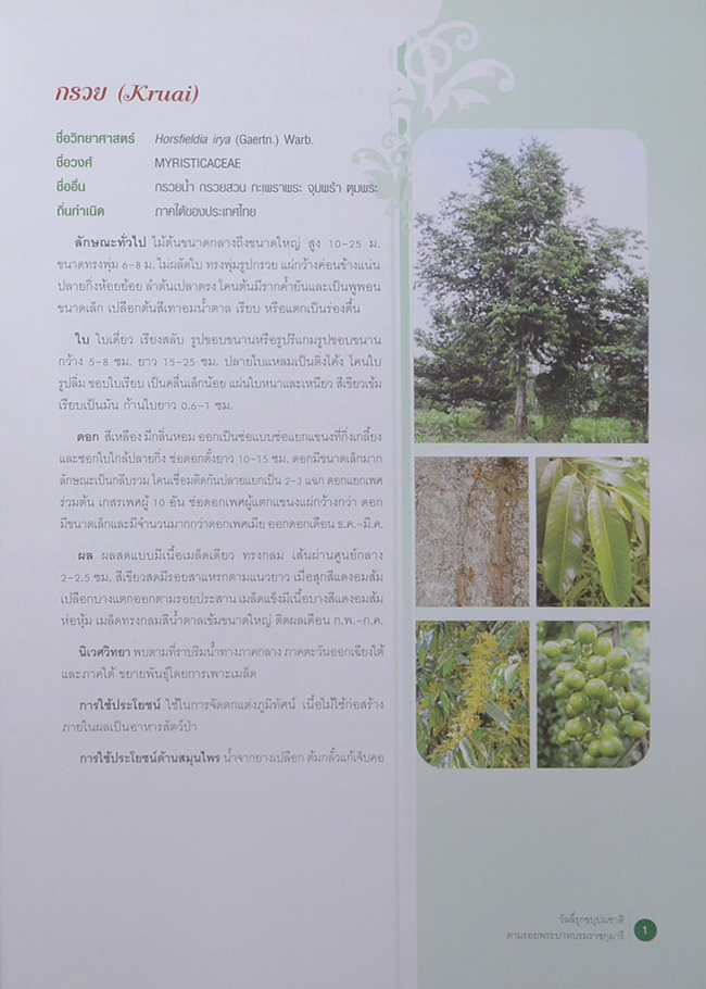 วัลลิ์รุกขบุปผชาติ ตามรอยพระบาทบรมราชกุมารี (ขายตามสภาพ)