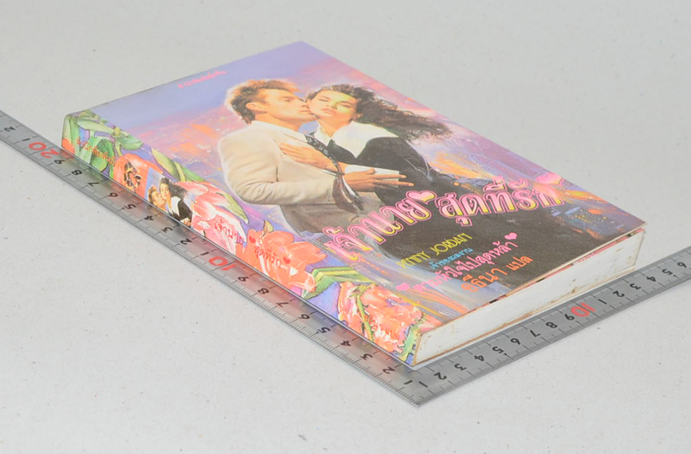 เจ้านายสุดที่รัก (เล่มเดียวจบ)