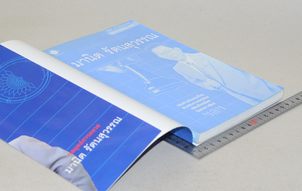 กลยุทธ์การตลาด