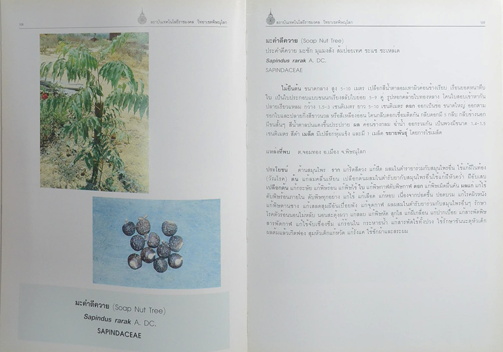 พันธุ์พืชอนุรักษ์ (ขายตามสภาพ)