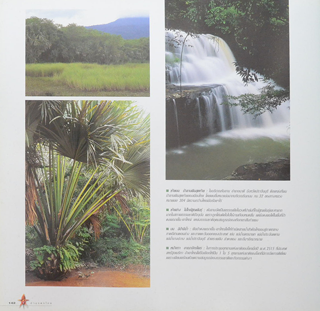 ป่ามรดกไทย อาณาจักรพรรณพืชและสรรพชีวิตแห่งป่าเขตร้อน (ขายตามสภาพ)