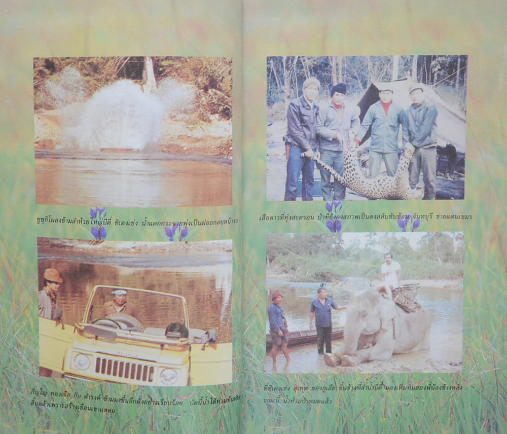 ป่าโบราณ (ขายตามสภาพ)