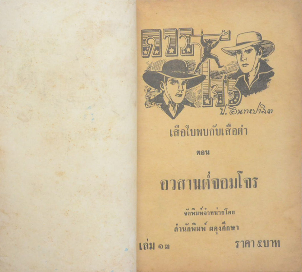 ดาวโจร ตอน อวสานจอมโจร (เล่ม 13)