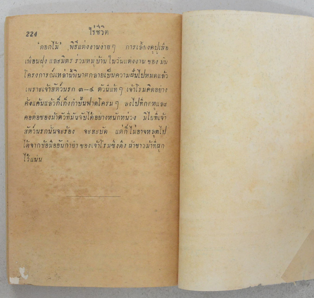 พู่ทวนนาง (ปกโดย เหม เวชกร) (เล่มเล็ก / ขายตามสภาพ)