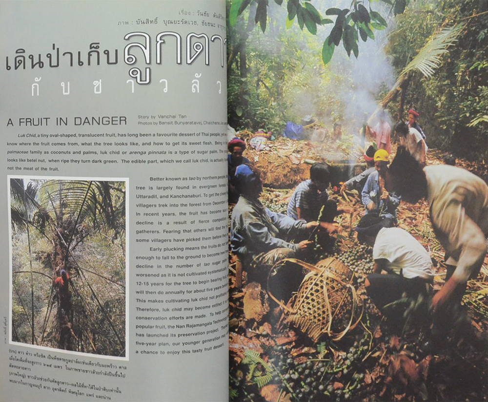 สารคดี ปีที่ 13 ฉบับที่ 149 กรกฎาคม 2540