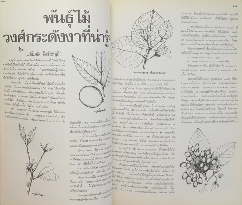 ธรรมชาติศึกษา เล่มที่ 1 ฉบับนำสำรวจอุทยานน้ำตกบริพัตร