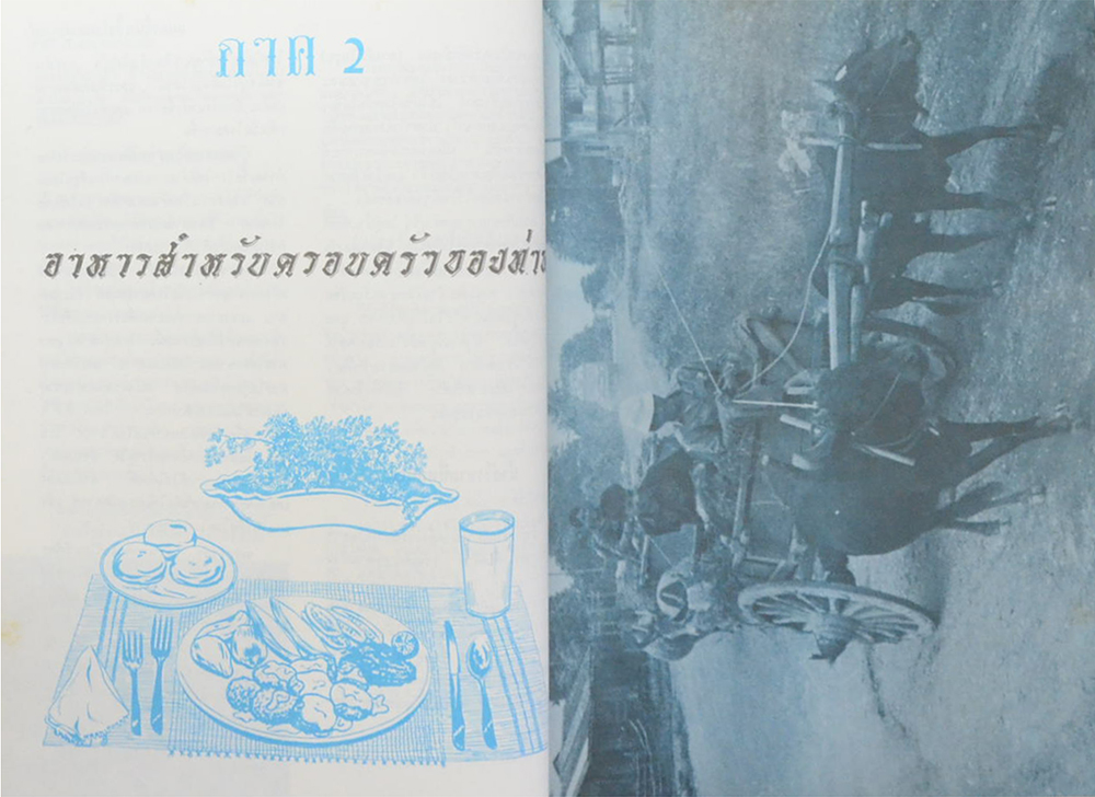 สุขภาพและพลานามัย (เล่ม 1)