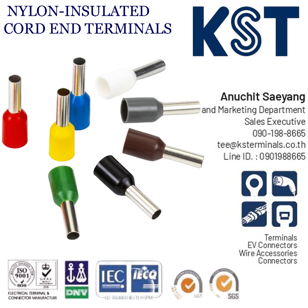 E ข้อต่อย้ำสายแบบเดี่ยวหุ้ม,ขอดเอ็น,nylon-insulated cord end terminals e series