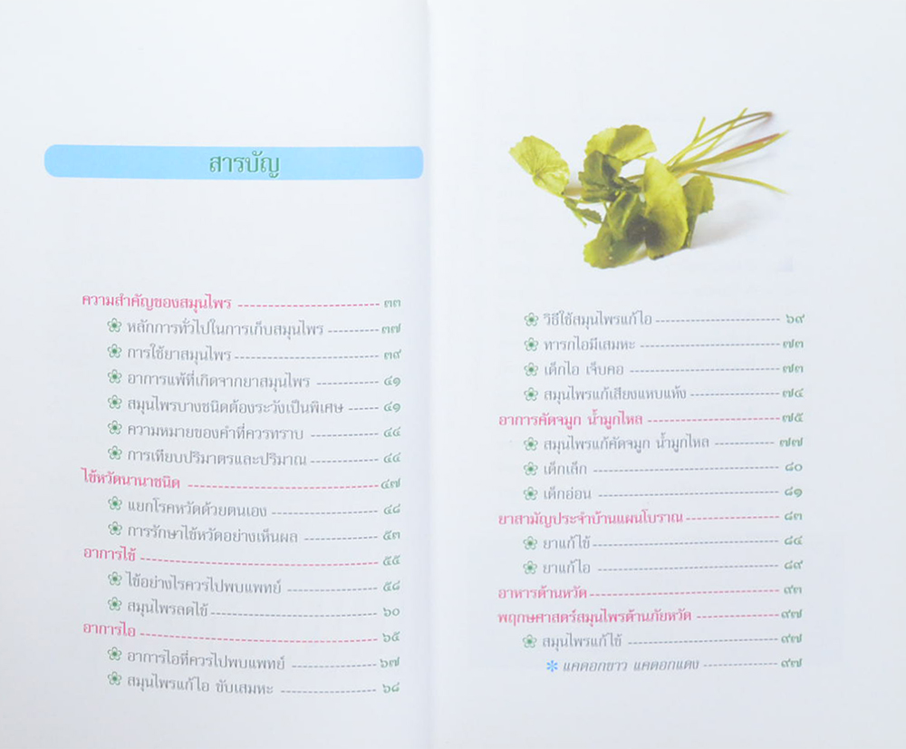 สมุนไพรต้านภัยหวัด