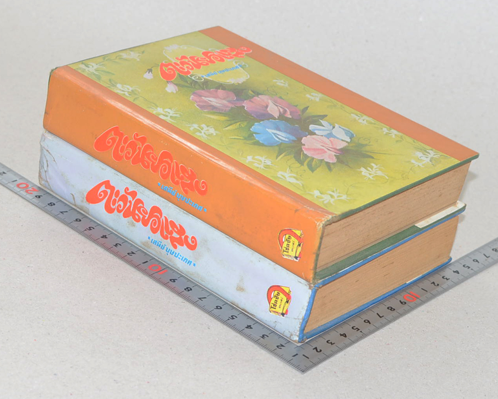 ตะวันยอแสง (2 เล่มจบ)